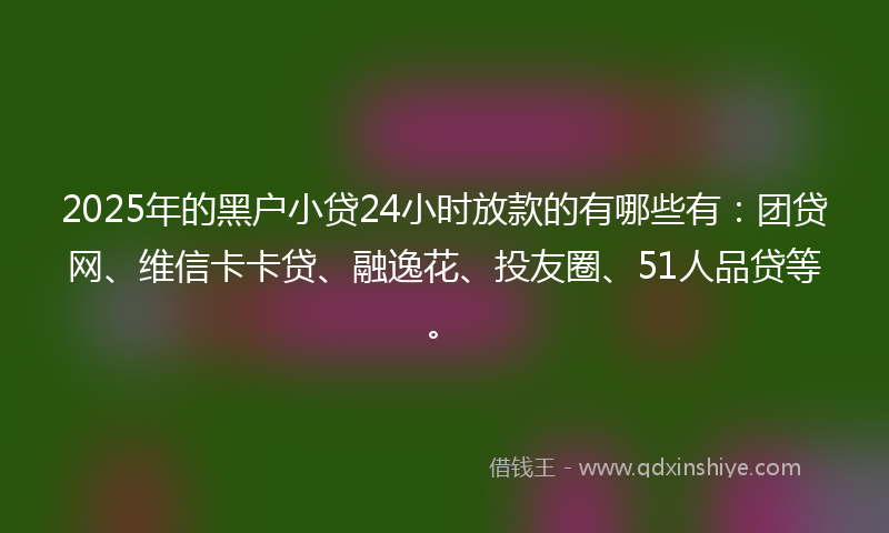 2025年的黑户小贷24小时放款的有哪些有：团贷网、维信卡卡贷、融逸花、投友圈、51人品贷等。
