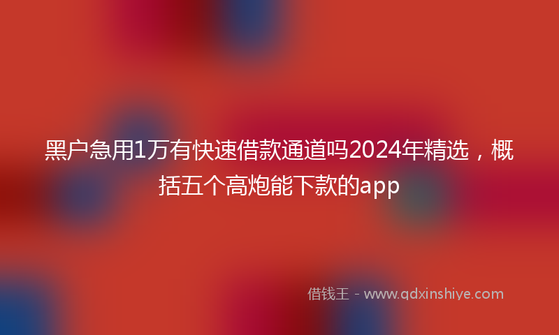 黑户急用1万有快速借款通道吗2024年精选，概括五个高炮能下款的app
