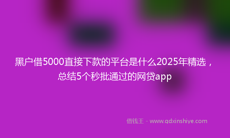 黑户借5000直接下款的平台是什么2025年精选，总结5个秒批通过的网贷app