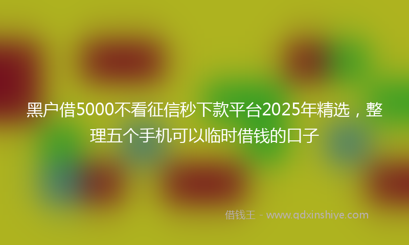 黑户借5000不看征信秒下款平台2025年精选，整理五个手机可以临时借钱的口子