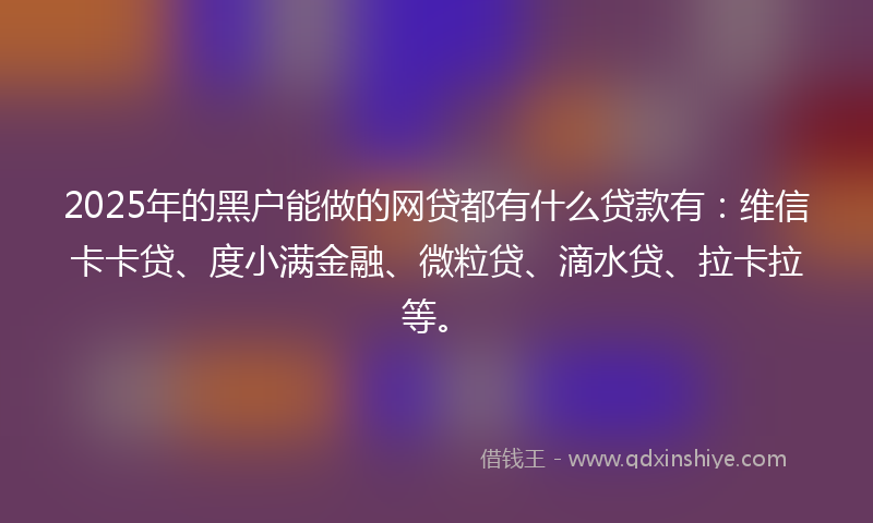 2025年的黑户能做的网贷都有什么贷款有：维信卡卡贷、度小满金融、微粒贷、滴水贷、拉卡拉等。
