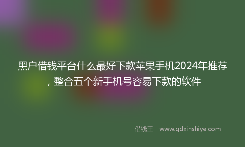黑户借钱平台什么最好下款苹果手机2024年推荐，整合五个新手机号容易下款的软件