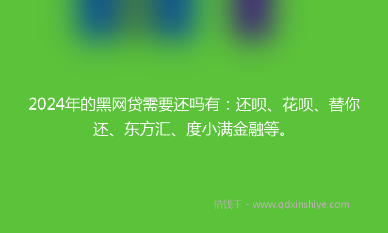2024年的黑网贷需要还吗有：还呗、花呗、替你还、东方汇、度小满金融等。