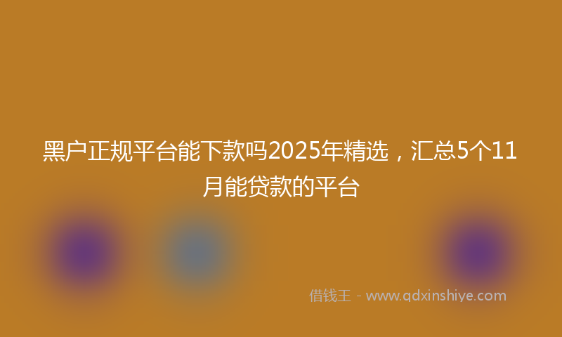 黑户正规平台能下款吗2025年精选，汇总5个11月能贷款的平台