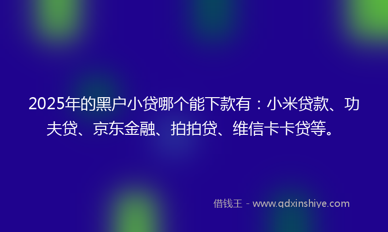 2025年的黑户小贷哪个能下款有：小米贷款、功夫贷、京东金融、拍拍贷、维信卡卡贷等。