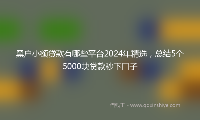 黑户小额贷款有哪些平台2024年精选，总结5个5000块贷款秒下口子
