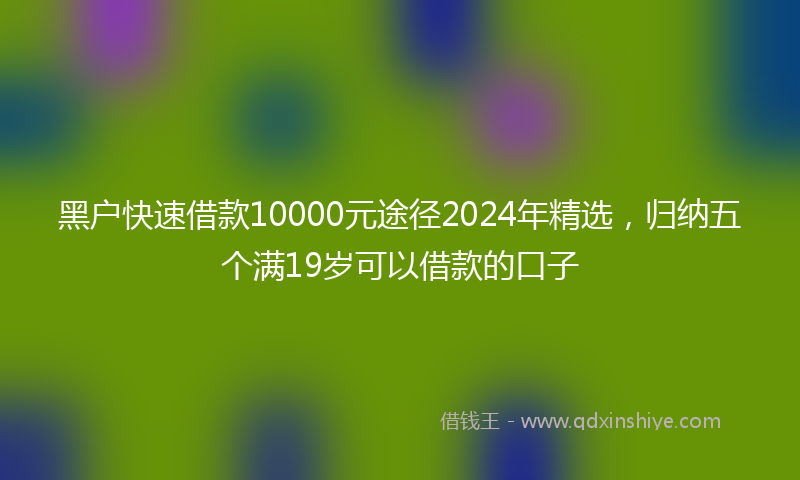黑户快速借款10000元途径2024年精选，归纳五个满19岁可以借款的口子