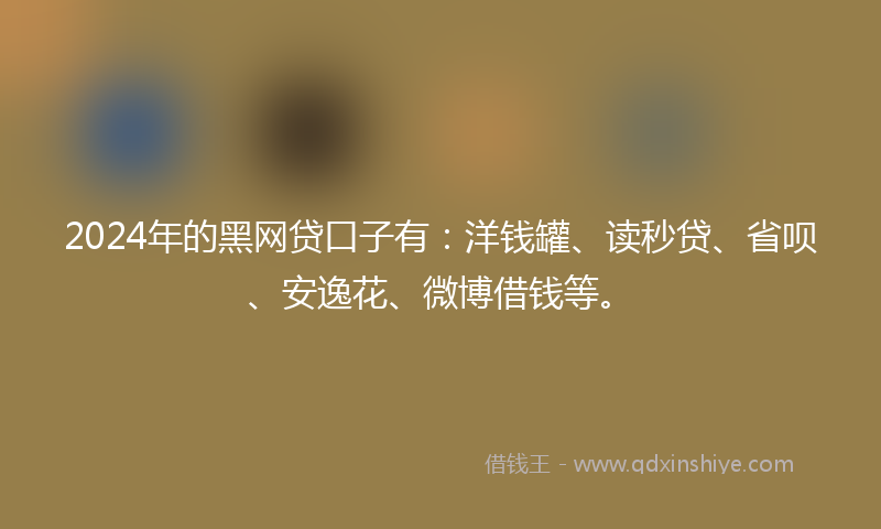 2024年的黑网贷口子有：洋钱罐、读秒贷、省呗、安逸花、微博借钱等。