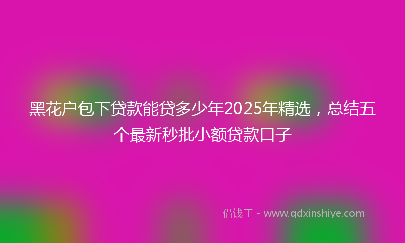 黑花户包下贷款能贷多少年2025年精选，总结五个最新秒批小额贷款口子