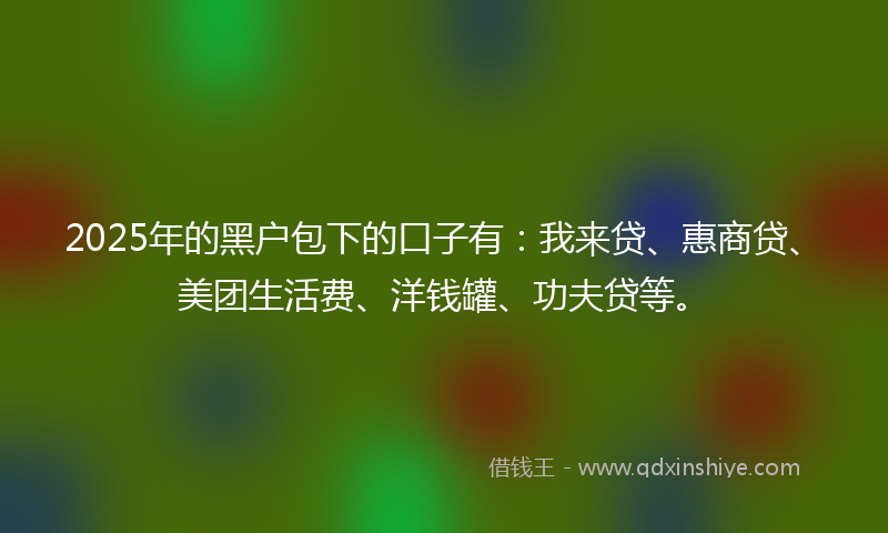 2025年的黑户包下的口子有：我来贷、惠商贷、美团生活费、洋钱罐、功夫贷等。