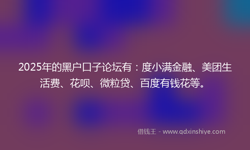 2025年的黑户口子论坛有：度小满金融、美团生活费、花呗、微粒贷、百度有钱花等。