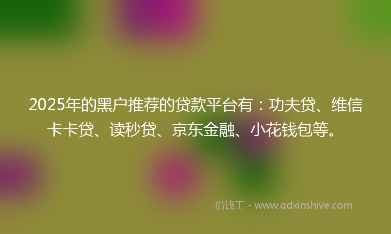 2025年的黑户推荐的贷款平台有：功夫贷、维信卡卡贷、读秒贷、京东金融、小花钱包等。