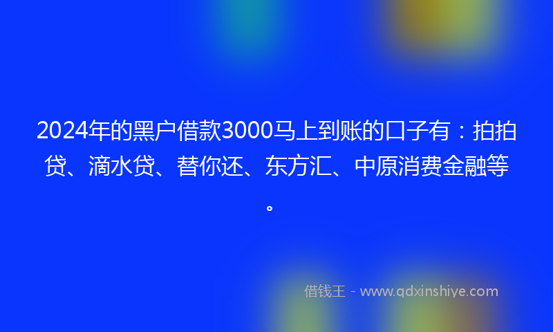 2024年的黑户借款3000马上到账的口子有：拍拍贷、滴水贷、替你还、东方汇、中原消费金融等。