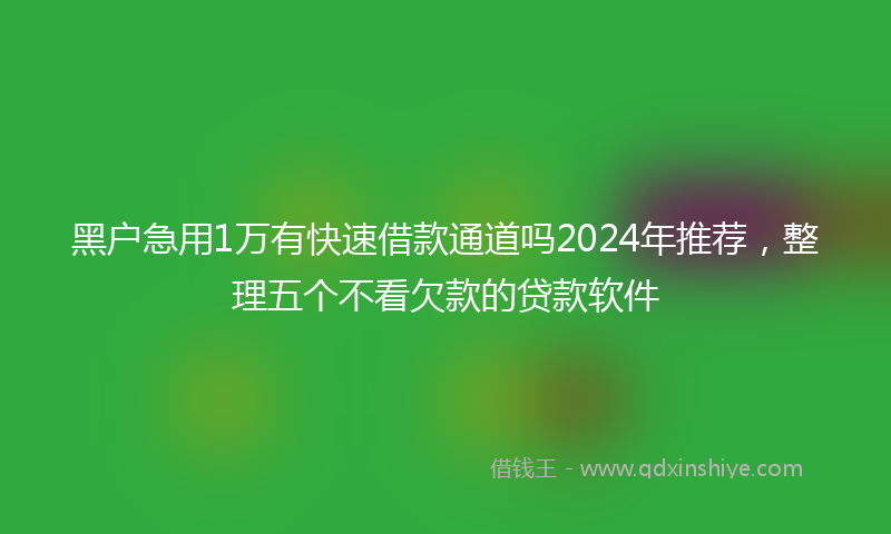 黑户急用1万有快速借款通道吗2024年推荐，整理五个不看欠款的贷款软件