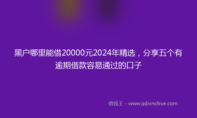 黑户哪里能借20000元2024年精选，分享五个有逾期借款容易通过的口子