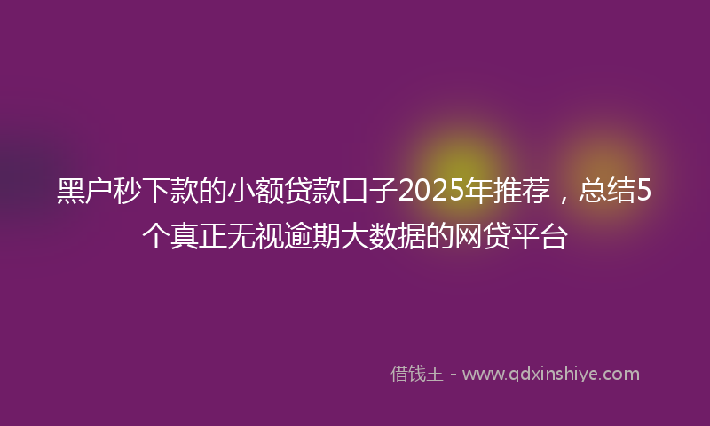 黑户秒下款的小额贷款口子2025年推荐，总结5个真正无视逾期大数据的网贷平台