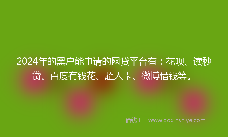 2024年的黑户能申请的网贷平台有：花呗、读秒贷、百度有钱花、超人卡、微博借钱等。