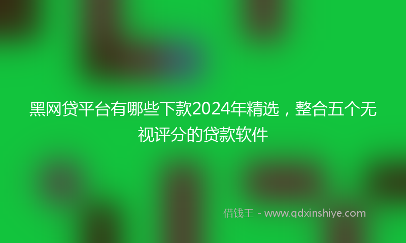 黑网贷平台有哪些下款2024年精选，整合五个无视评分的贷款软件