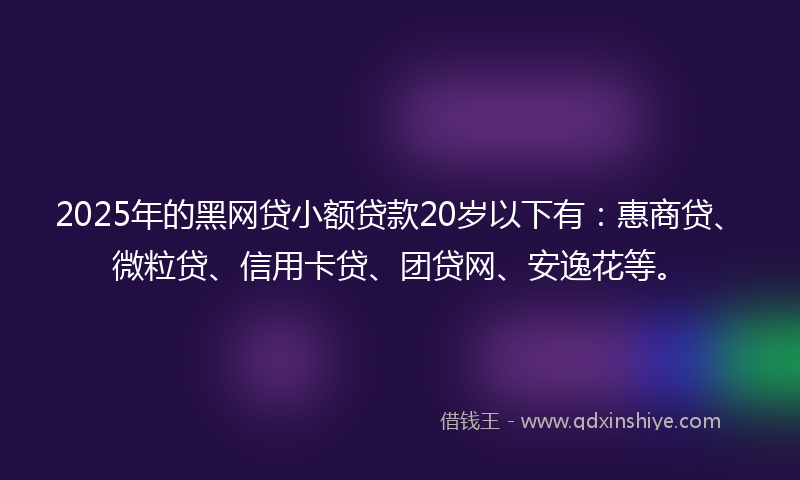 2025年的黑网贷小额贷款20岁以下有：惠商贷、微粒贷、信用卡贷、团贷网、安逸花等。