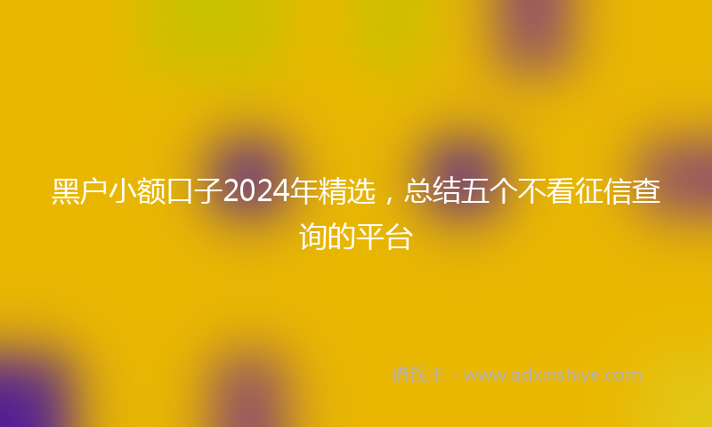 黑户小额口子2024年精选，总结五个不看征信查询的平台