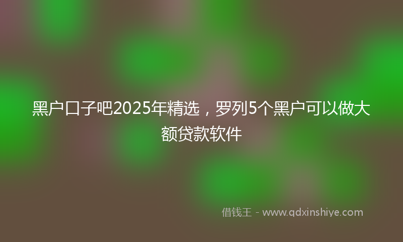 黑户口子吧2025年精选，罗列5个黑户可以做大额贷款软件