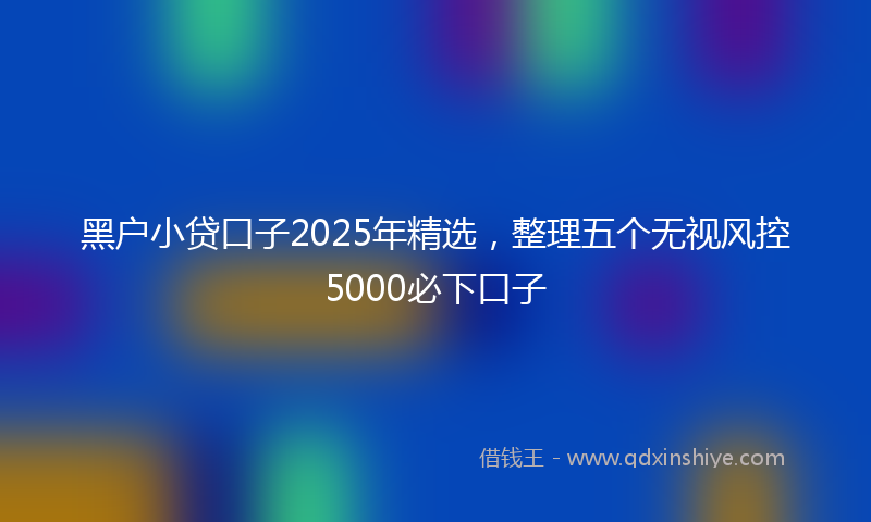 黑户小贷口子2025年精选，整理五个无视风控5000必下口子