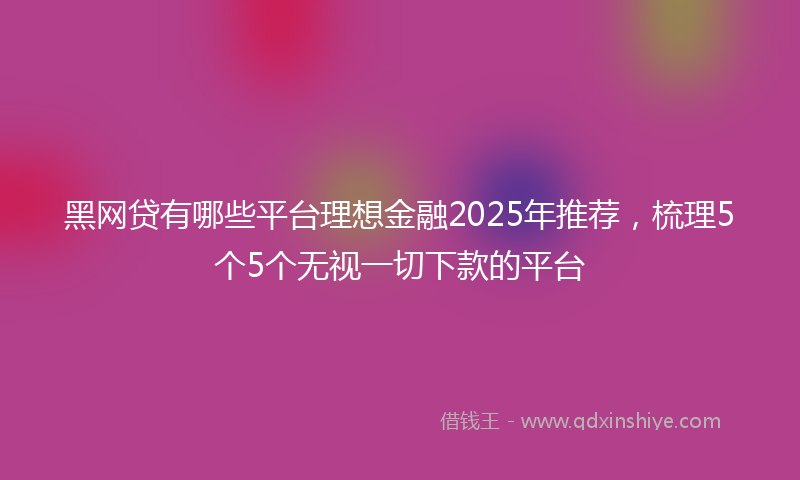 黑网贷有哪些平台理想金融2025年推荐，梳理5个5个无视一切下款的平台