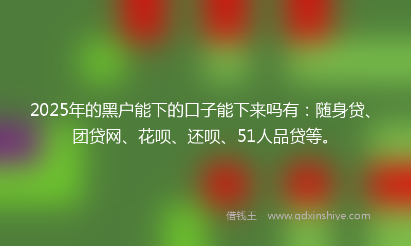 2025年的黑户能下的口子能下来吗有：随身贷、团贷网、花呗、还呗、51人品贷等。