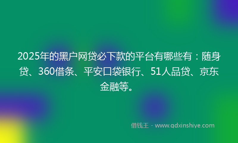 2025年的黑户网贷必下款的平台有哪些有：随身贷、360借条、平安口袋银行、51人品贷、京东金融等。