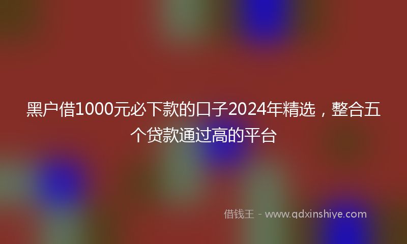 黑户借1000元必下款的口子2024年精选，整合五个贷款通过高的平台