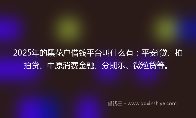 2025年的黑花户借钱平台叫什么有：平安i贷、拍拍贷、中原消费金融、分期乐、微粒贷等。