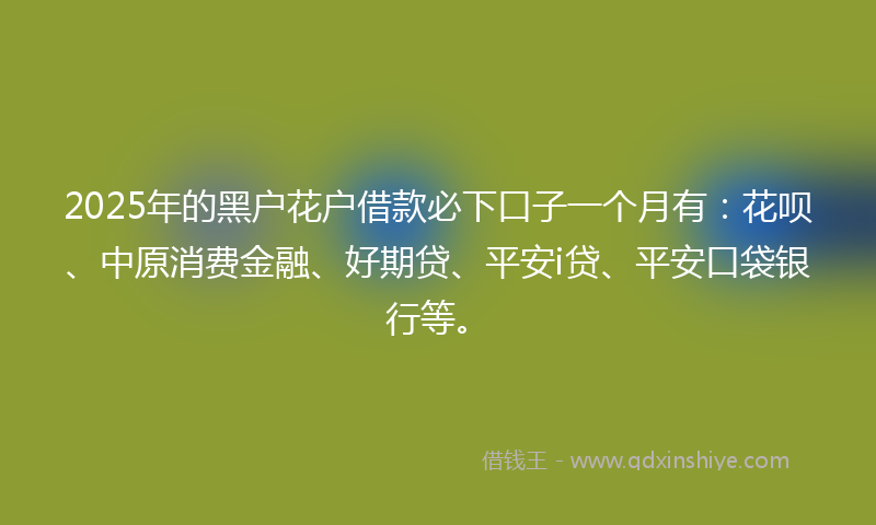 2025年的黑户花户借款必下口子一个月有：花呗、中原消费金融、好期贷、平安i贷、平安口袋银行等。