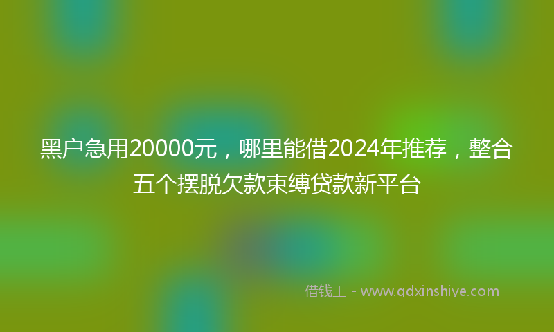 黑户急用20000元，哪里能借2024年推荐，整合五个摆脱欠款束缚贷款新平台
