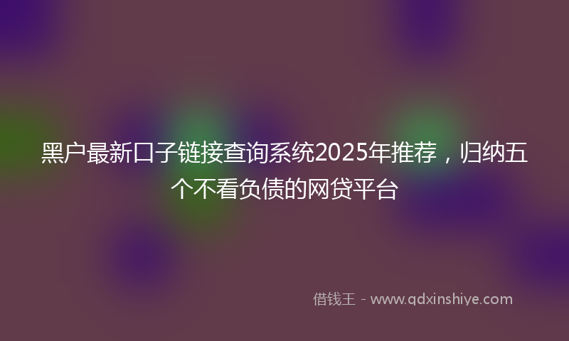黑户最新口子链接查询系统2025年推荐，归纳五个不看负债的网贷平台