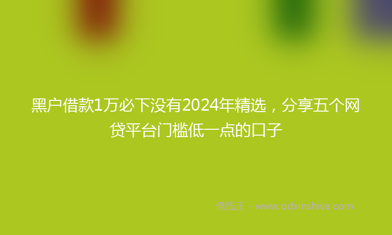 黑户借款1万必下没有2024年精选，分享五个网贷平台门槛低一点的口子
