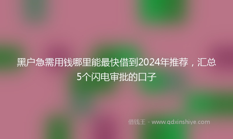 黑户急需用钱哪里能最快借到2024年推荐，汇总5个闪电审批的口子
