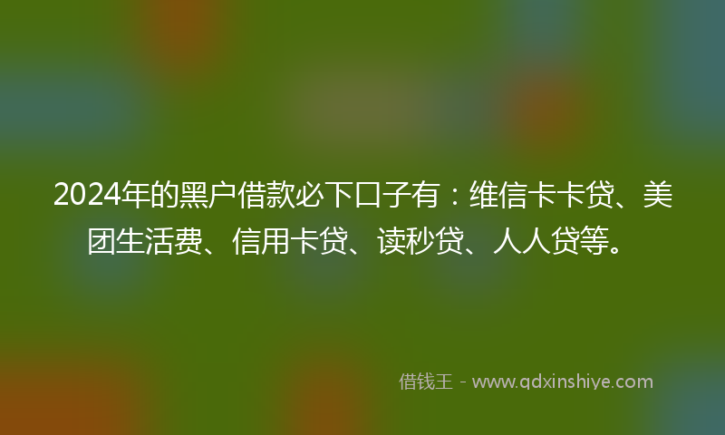 2024年的黑户借款必下口子有：维信卡卡贷、美团生活费、信用卡贷、读秒贷、人人贷等。