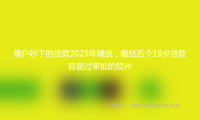 黑户秒下的贷款2025年精选，概括五个19岁贷款容易过审批的软件
