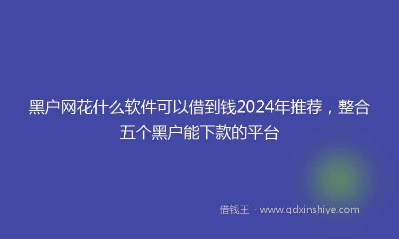 黑户网花什么软件可以借到钱2024年推荐，整合五个黑户能下款的平台