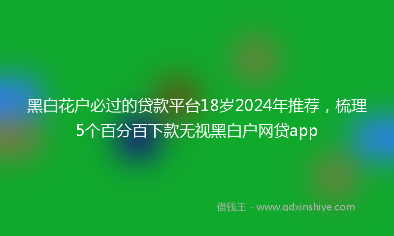 黑白花户必过的贷款平台18岁2024年推荐，梳理5个百分百下款无视黑白户网贷app
