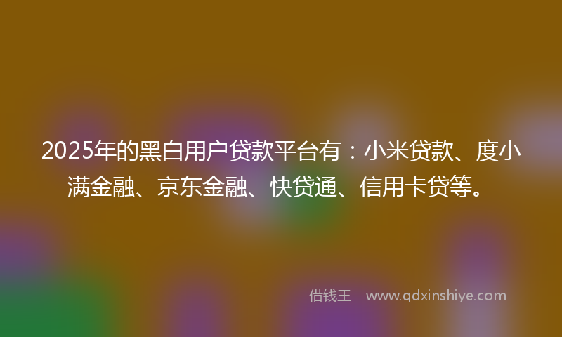 2025年的黑白用户贷款平台有：小米贷款、度小满金融、京东金融、快贷通、信用卡贷等。