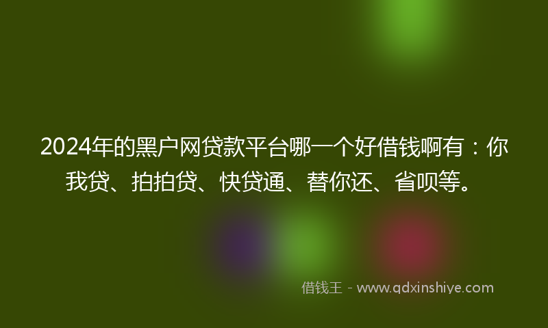 2024年的黑户网贷款平台哪一个好借钱啊有：你我贷、拍拍贷、快贷通、替你还、省呗等。