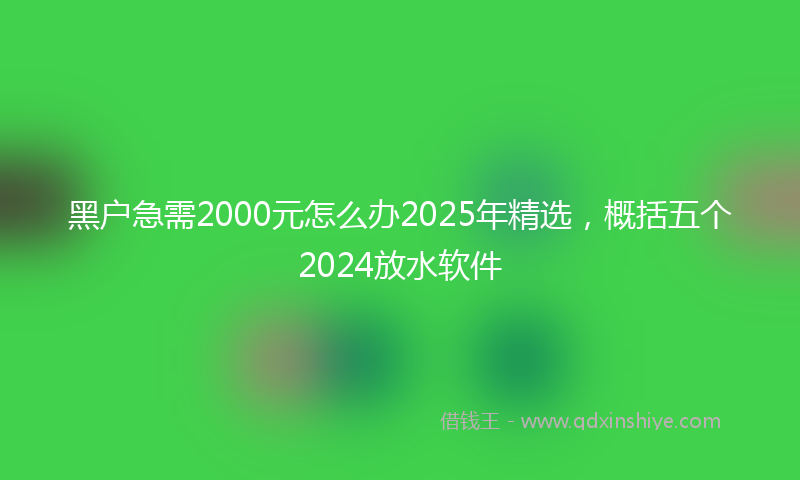 黑户急需2000元怎么办2025年精选，概括五个2024放水软件