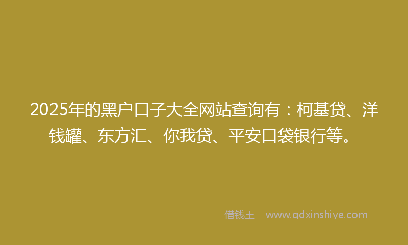 2025年的黑户口子大全网站查询有：柯基贷、洋钱罐、东方汇、你我贷、平安口袋银行等。