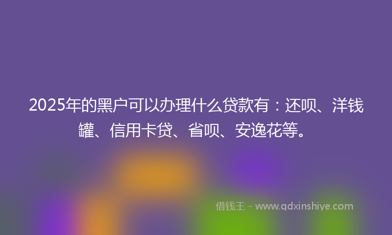 2025年的黑户可以办理什么贷款有：还呗、洋钱罐、信用卡贷、省呗、安逸花等。