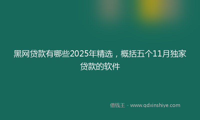 黑网贷款有哪些2025年精选，概括五个11月独家贷款的软件