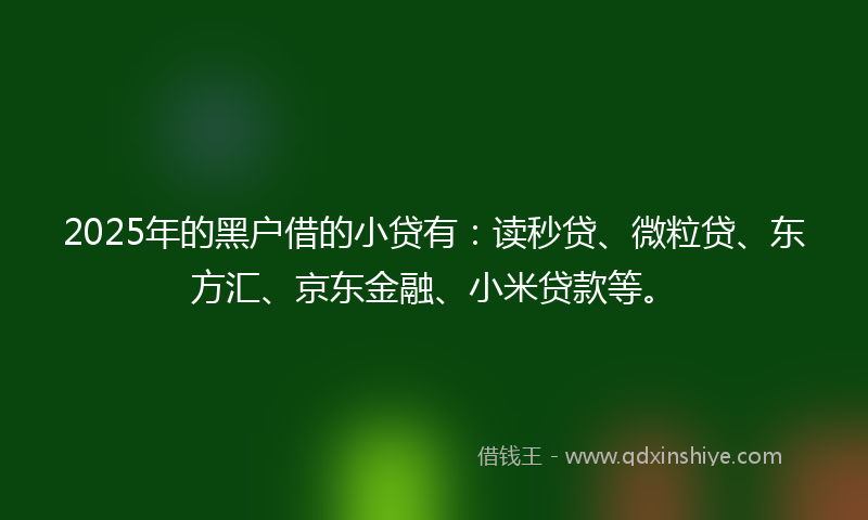 2025年的黑户借的小贷有：读秒贷、微粒贷、东方汇、京东金融、小米贷款等。
