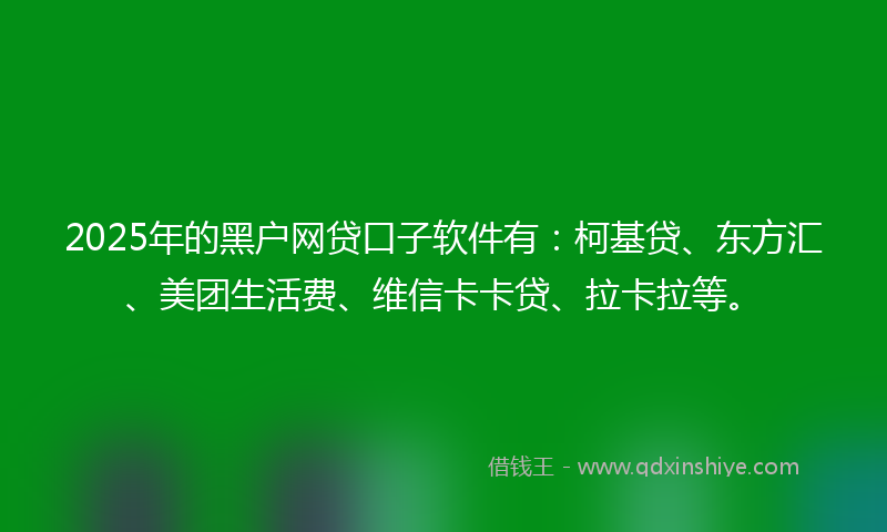 2025年的黑户网贷口子软件有：柯基贷、东方汇、美团生活费、维信卡卡贷、拉卡拉等。