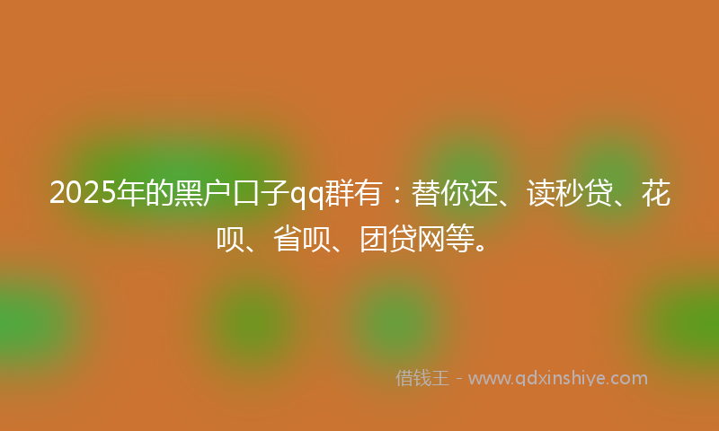 2025年的黑户口子qq群有：替你还、读秒贷、花呗、省呗、团贷网等。