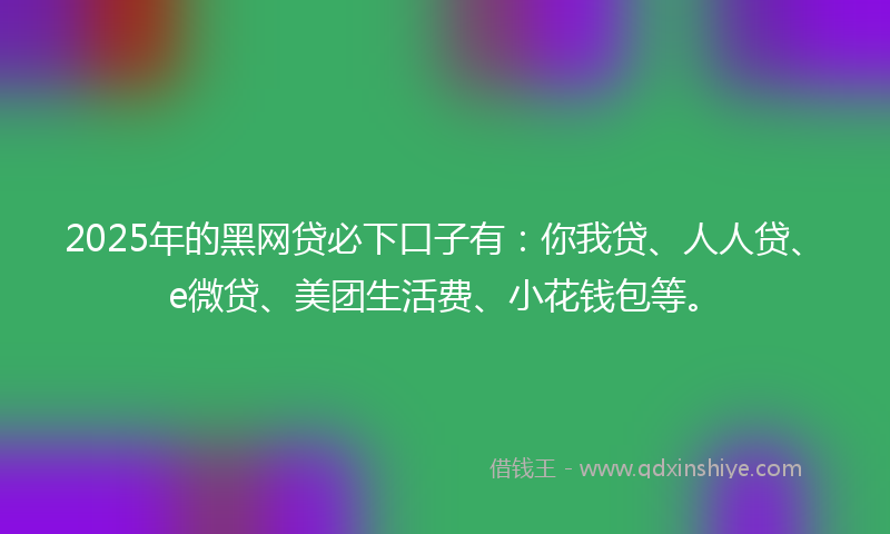 2025年的黑网贷必下口子有：你我贷、人人贷、e微贷、美团生活费、小花钱包等。